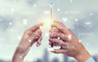 價格戰迷霧 選擇軟件開發公司時，服務能力應否讓位于低價？